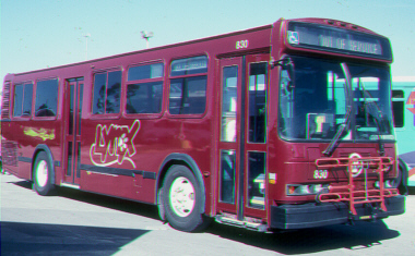 lynx830.jpg