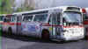 OC Transpo 8105.jpg (84807 bytes)